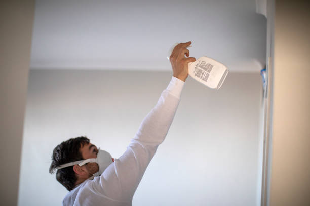 Best Attic Mold Removal  in Brownsville, TX
