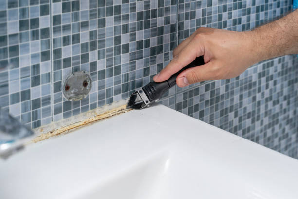 Best Commercial Mold Removal  in Brownsville, TX